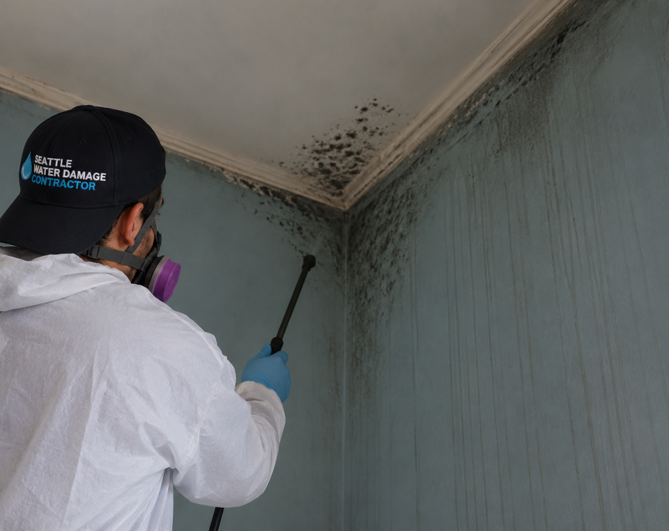 seattle mold removal specialist