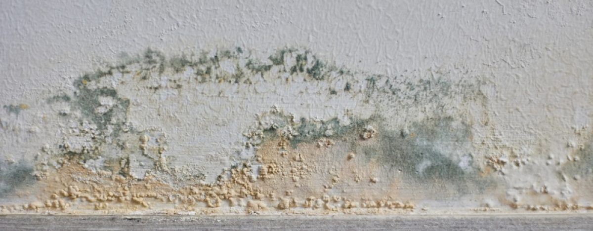 Mold,Growth,On,The,Walls,Inside,An,Apartment,Building.,Humidity