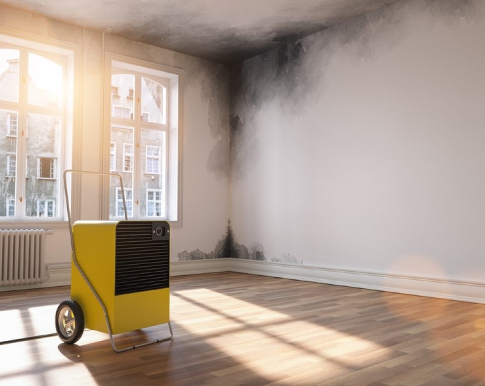 Professional,Dehumidifier,After,Water,Damage,Standing,In,A,Room,With